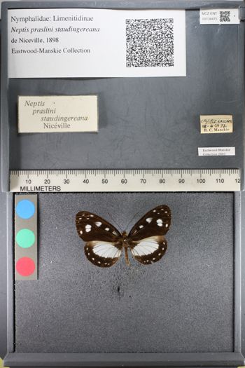 Media type: image;   Entomology 138475